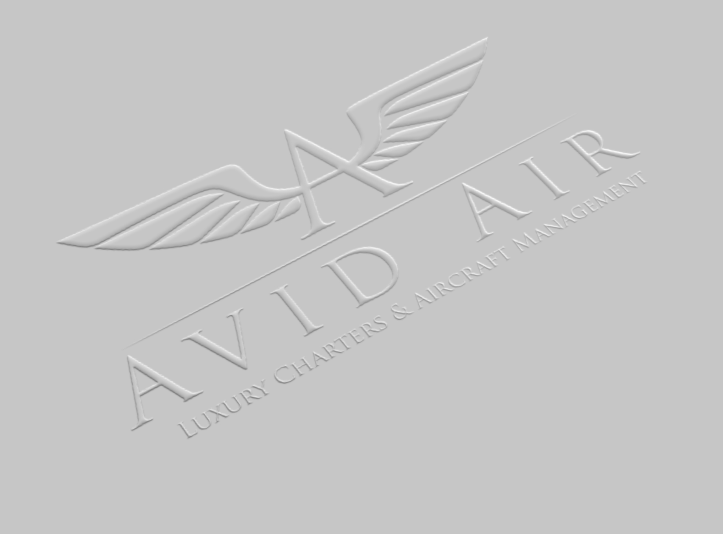 Avid Air Charter Company Logo / Identity